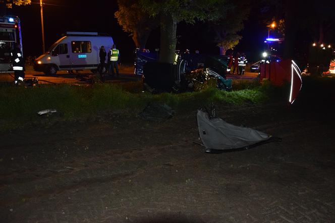 Wypadek pod Żychlinem