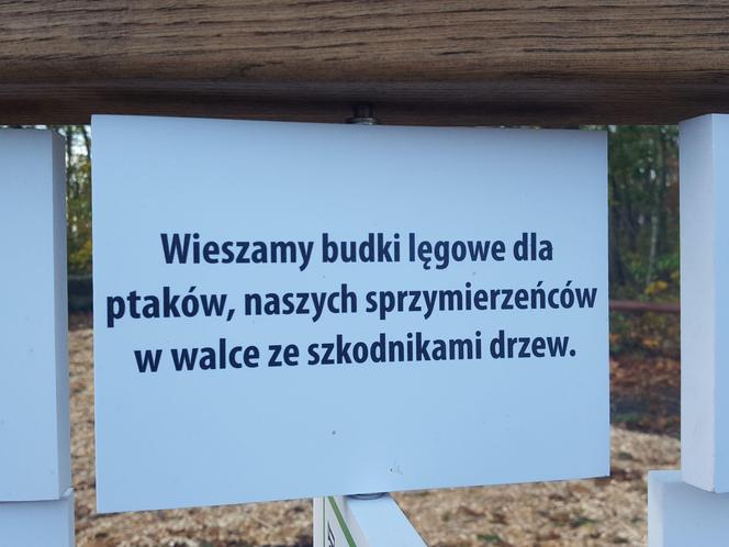 Przy siedzicie Nadleśnictwa Karczma Borowa w Lesznie powstaje ścieżka eduakcyjna "Na tropie przyrody" 