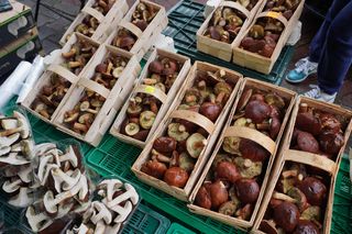 Grzyby na halach targowych w Gdyni