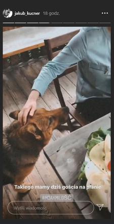 	M jak miłość po wakacjach 2020. Pies Soni i Janka?