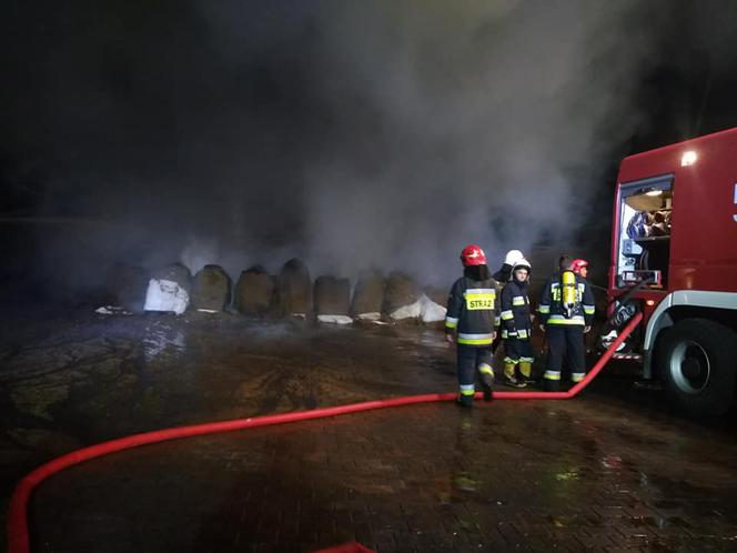 Pożar w zakładzie utylizacji odpadów pochodzenia zwierzęcego