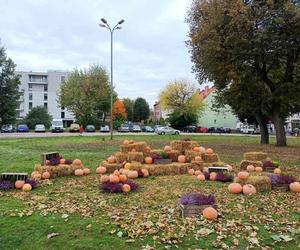 Dyniowa instalacja w centrum Giżycka. Można zrobić sobie jesienną sesję [ZDJĘCIA]