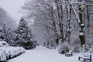 Białystok zasypany śniegiem! Tak prezentuje się stolica Podlasia w zimowej aurze