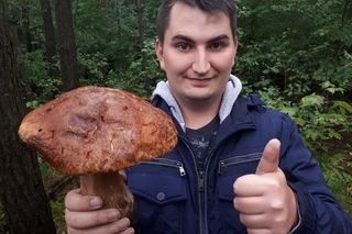 Wysyp grzybów w Polsce. Łodzianin znalazł w lesie ponad kilogramowego borowika!