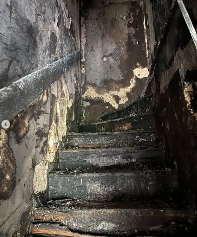 Magda Gessler prosi o pomoc