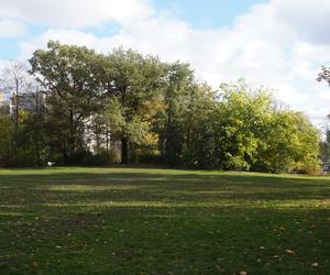Park Wilsona jesienią