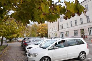 Kolorowe drzewa i klimatyczne kamienice. Ta ulica w Olsztynie zachwyca jesienią [ZDJĘCIA]