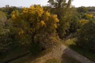 Wrocław w połowie października 2022 roku 