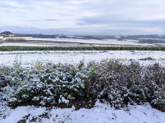 Śnieg w Małopolsce. Zima przyszła wyjątkowo szybko