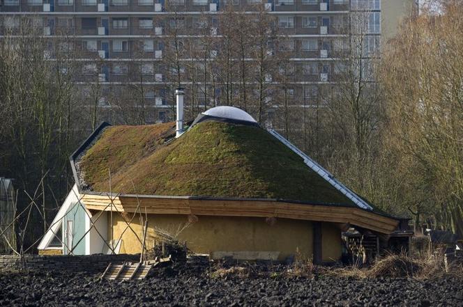  Przekierowanie, Edible Park by Nils Norman