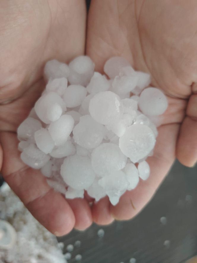 Zniszczone plantacje warzyw i owoców na Dolnym Śląsku. "To był prawdziwy armagedon" 