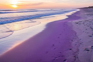 Fioletowy piasek na Pomorzu. Gdzie zlokalizowano niezwykłe zjawisko?