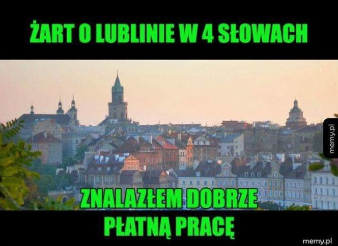 Buzię widzę w tym drzewiu i wiele innych. Tak śmieją się z woj. lubelskiego! Zobacz MEMY