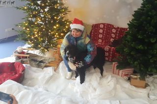 Mikołajki w bydgoskim schronisku dla zwierząt. Kiedy ludzie dają miłość psom, dzieje się magia