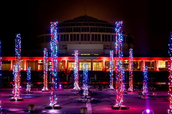 Pergolę warto odwiedzić również zimą! Zobacz pokazy świątecznych iluminacji [ZDJĘCIA]