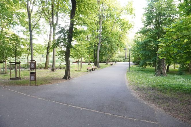 1. Park Sołacki 