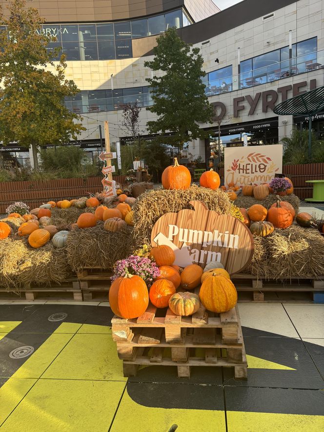 Zobacz, jak poznańskie świętują Halloween