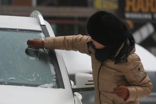 Mucha skrobie szyby kartą kredytową