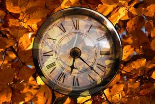Wiemy kiedy jest astronomiczna i kalendarzowa jesień. Pamiętaj też o zmianie czasu