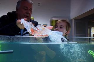 M jak miłość. Wojtek Marszałek (ś.p. Emilian Kamiński), Misiek (Olek Bożyk)