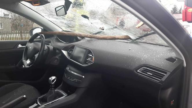 Gałęzie przebiły szybę jadącego auta! Centymetry od tragedii koło Wolsztyna