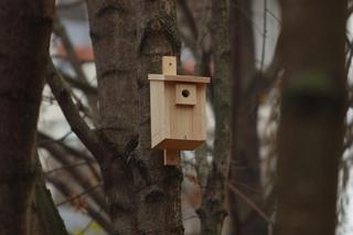 Leśny Korytarz na lubelskim Czechowie wzbogacił się o nowe drewniane elementy dla zwierząt