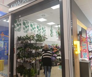 Kaufland w Rumi. Byliśmy na otwarciu! Promocje na każdym kroku