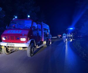 Nocny wypadek w Rudzie 