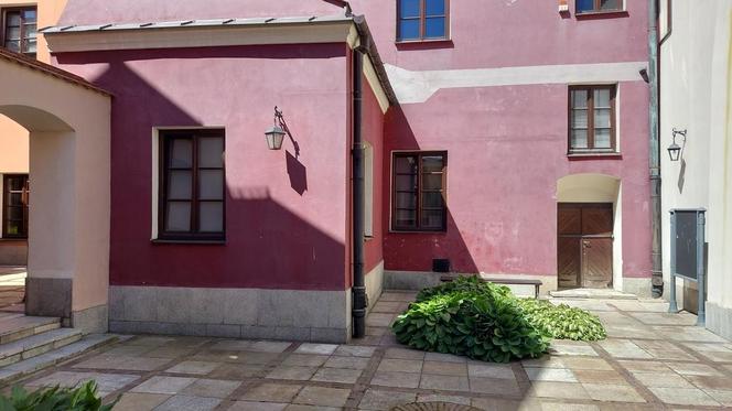 Zamość