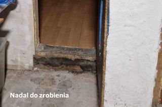 Wrocławska Ekostraż apeluje o pomoc. Sypiemy się 