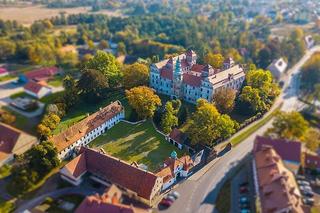 Zamek w Niemodlinie - zdjęcia. Zobacz zamek, który odwiedza stado danieli