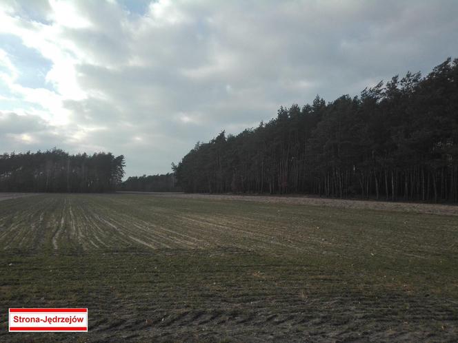 Lścin - miejscowość z jedną samogłoską. To w Świętokrzyskiem