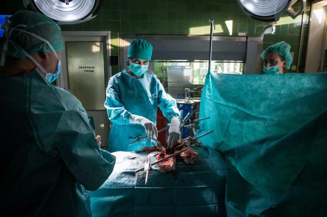 Diagnoza 3 sezon odcinek specjalny. Bogna (Danuta Stenka)