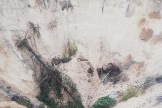 W trakcie grzybobrania zauważył gigantyczne zapadlisko. W lesie jest ich 80!