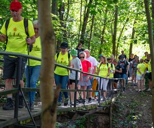 Gmina Miedziana Góra i okolice