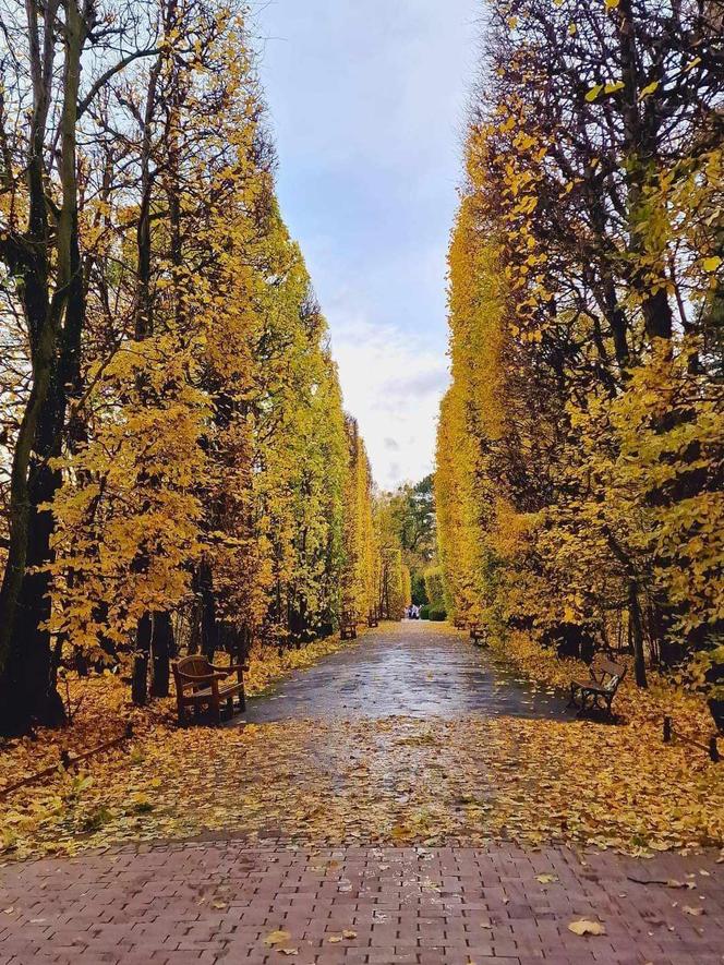 Gdańsk jesienią. Te widoki zapamiętacie na długo. Spójrzcie tylko na te zdjęcia!