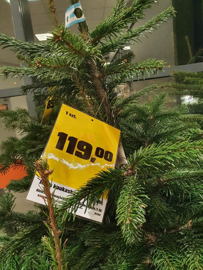 Ceny choinek 2022. Świąteczne drzewka dużo droższe niż rok temu!