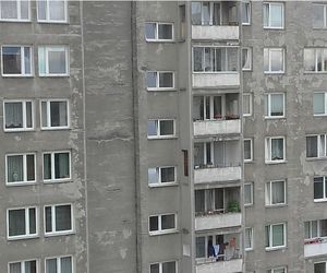 Wyrzucił psa i wyskoczył przez okno