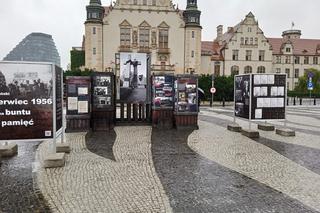 31. Rocznica przyjazdu Roberta de Niro do Poznania na obchody