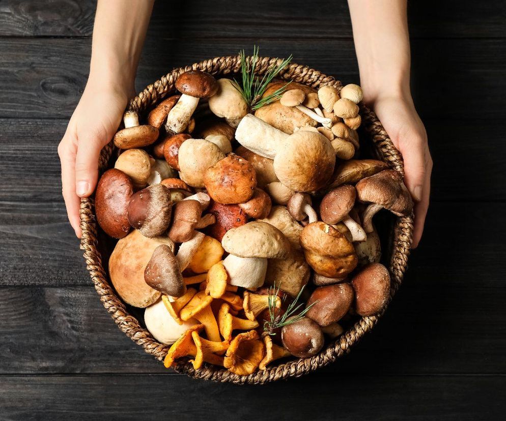 jakie grzyby na przetwory