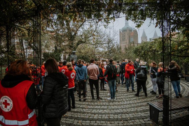 Oby rósł 100 lat! Dąb czerwony na jubileusz 100-lecia PCK