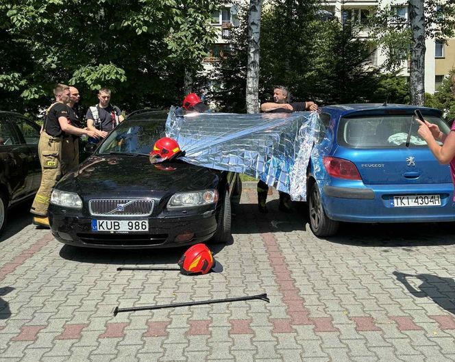 Turyści zostawili psa w samochodzie