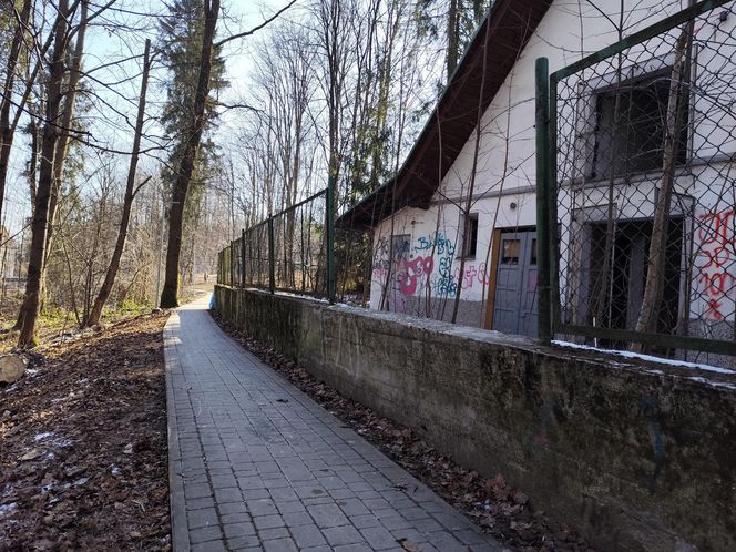 Napaść na dziewczynkę w Rabce-Zdroju. "Nigdy nie widziałam tak pobitego dziecka". 13-latka nadal nie wróciła do szkoły