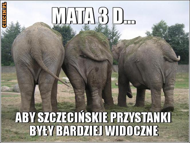 Memy o Szczecinie