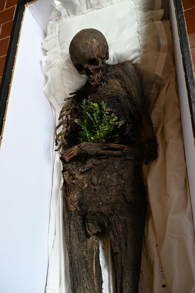 Mumia szlachcica odkryta w Komorowie