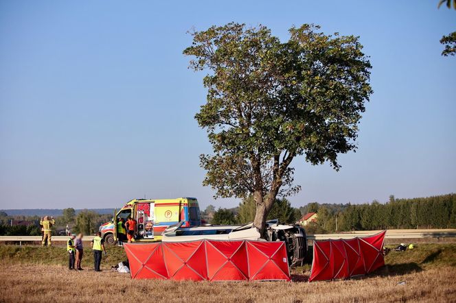 Wypadek Busa z Dziećmi w Miejscowości Lechów 