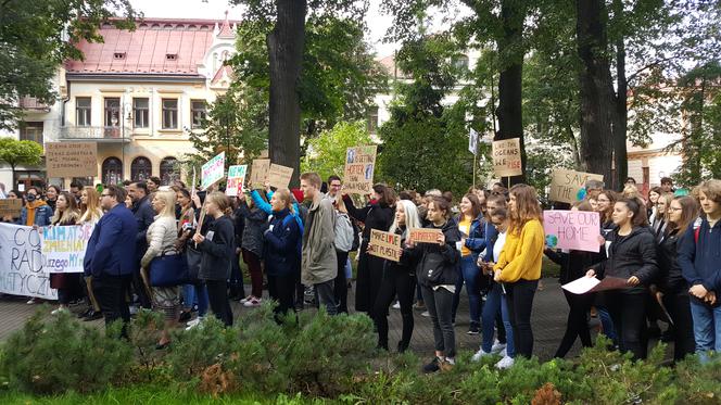 Młodzieżowy Strajk Klimatyczny w Nowym Sączu