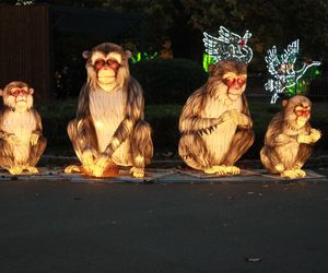 Garden of Lights ponownie rozświetlił wrocławskie zoo