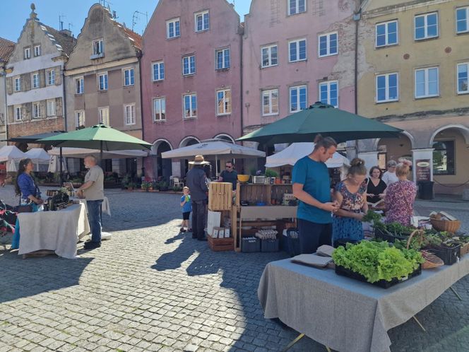 Stare Miasto w Olsztynie tętniło życiem. Zobacz, co działo się w weekend!