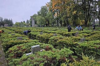 Żołnierze US Army sprzątają groby polskich żołnierzy 